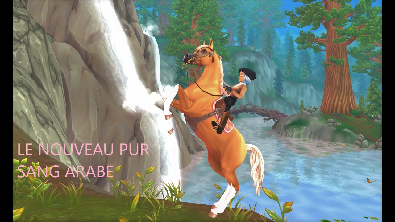 AVANT/APRES nouveaux pur sang arabe