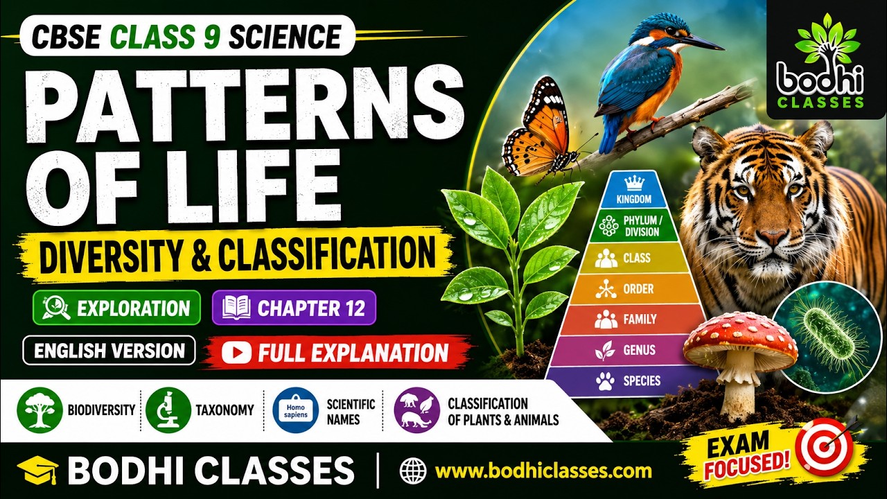 CBSE Class 9 Science Exploration Chapter 12 | Diversity and Classification Explained