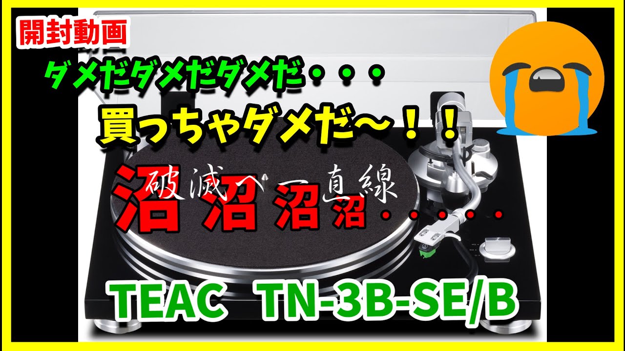 【開封動画】レコードプレーヤー（TN-3B-SE）購入しました！⇒最高でした。
