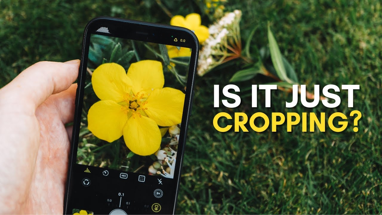 Halide приближается // Хорош ли новый макрорежим?