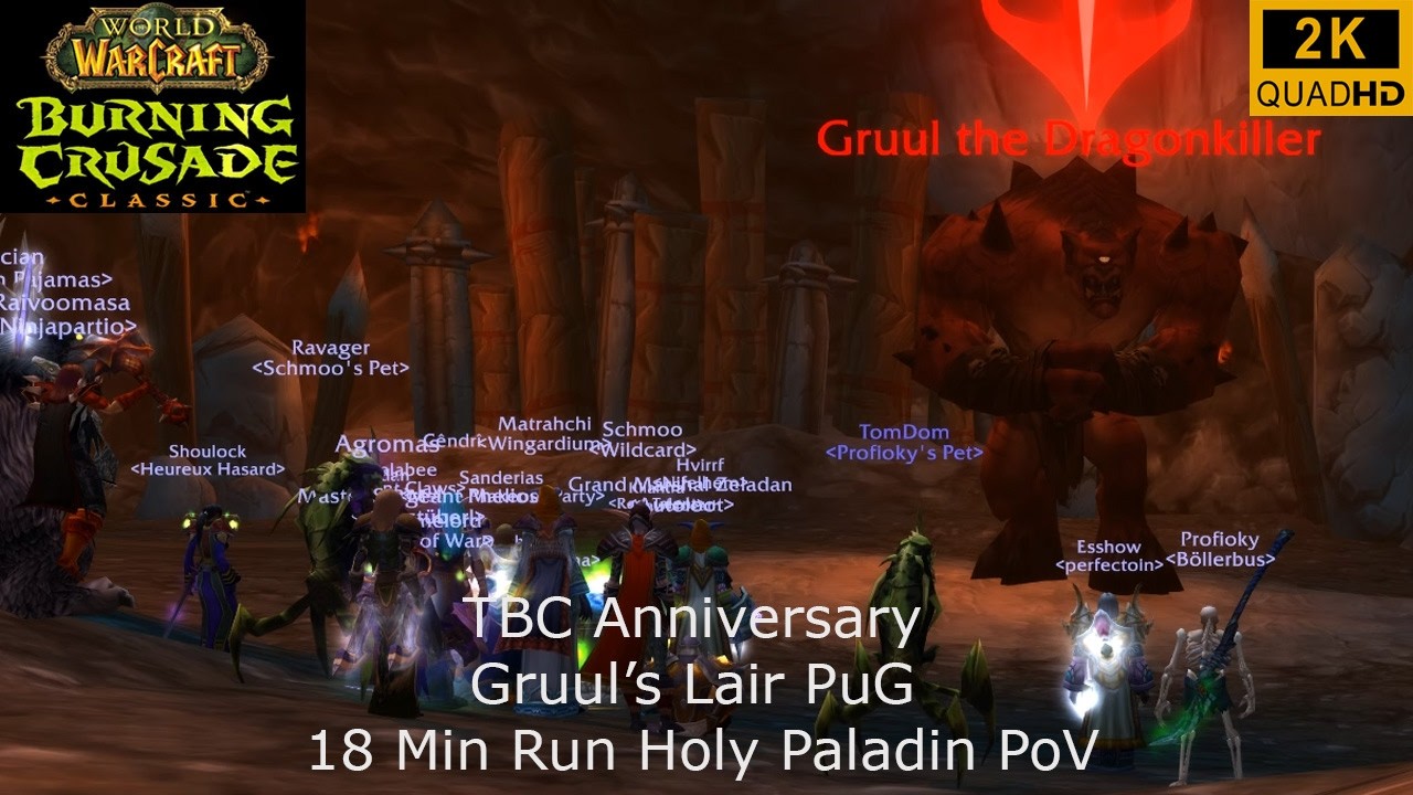 WoW TBC Anniversary | Gruul's Lair PuG 18 Min Run | Holy Paladin PoV | 2K