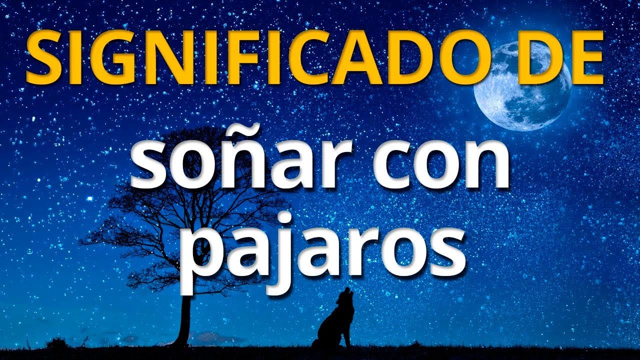 Qué significa soñar con pajaros 💤 Interpretación de los Sueños