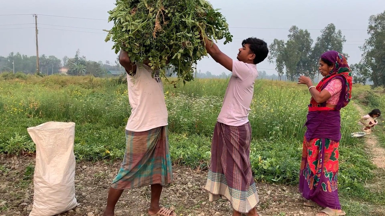 এই দৃশ্য দেখে মনে খুব কষ্ট পেলাম 😭village soil anu