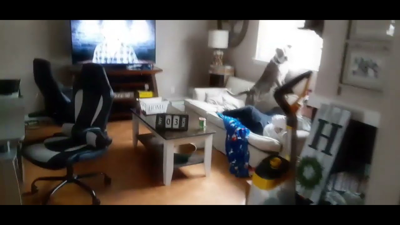 Spooky Scary Video - The Ninja (Attacks!)