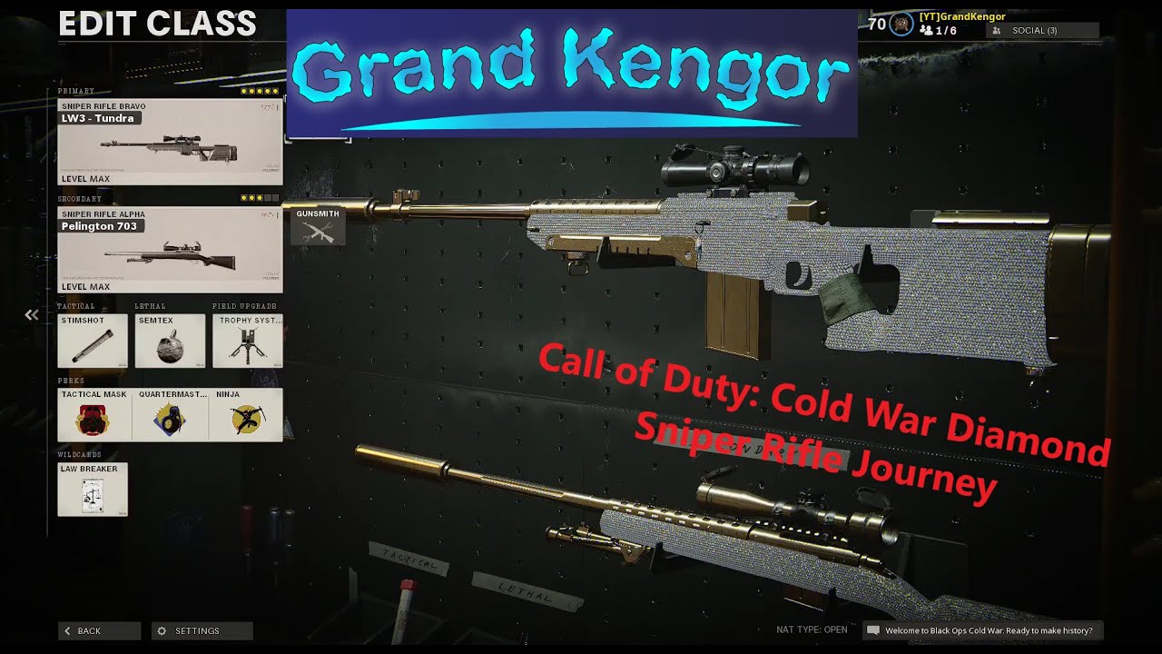 Call of Duty: Cold War - Sniper Rifle Diamond Journey.