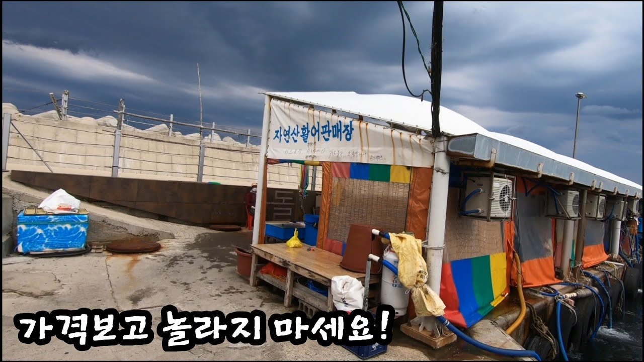 주문진 소돌항 난전 어시장 싱싱한 해산물 가격 대단하네요! 가성비 가격에 배터지고 갑니다.Korean fish market channel.