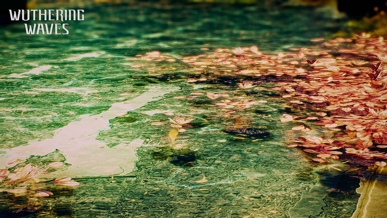 Wuthering Waves Archive - Reclaimed by Water and Cherry Blossoms