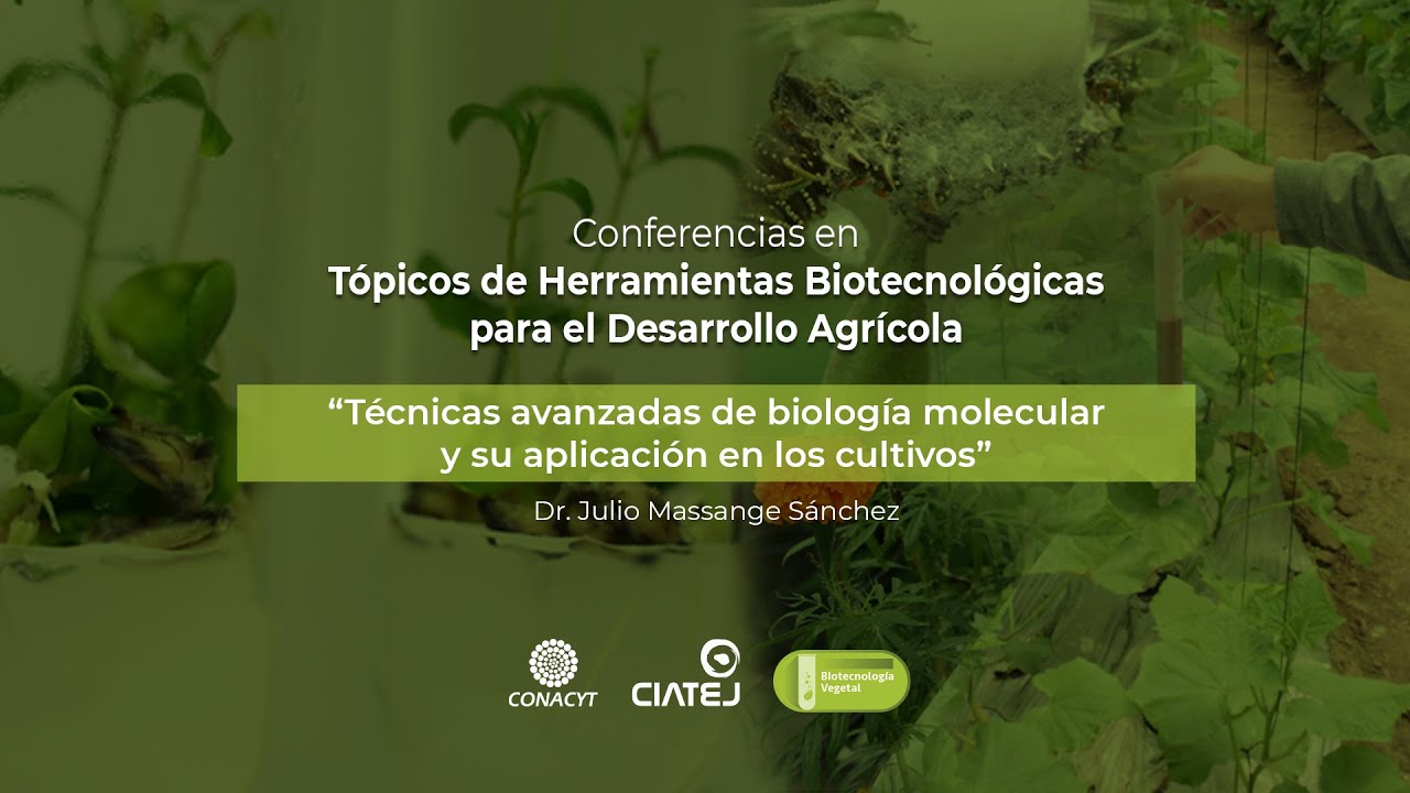 Técnicas avanzadas de biología molecular y su aplicación en los cultivos