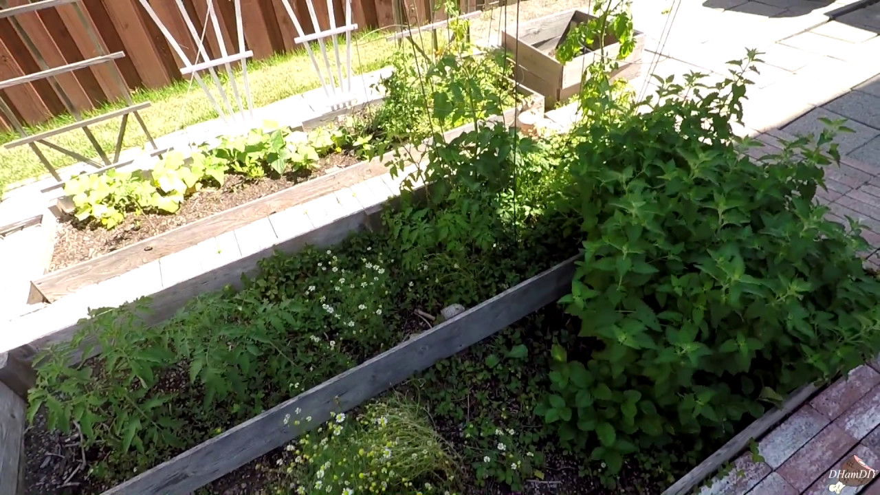 Garden Endeavors (Ep. 2)