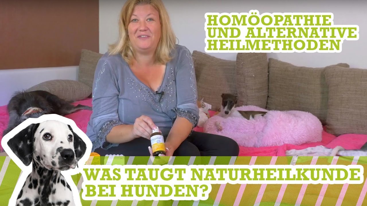 Hom&ouml;opathie und alternative Heilmethoden f&uuml;r Hunde - was taugt Naturheilkunde bei Hunden?