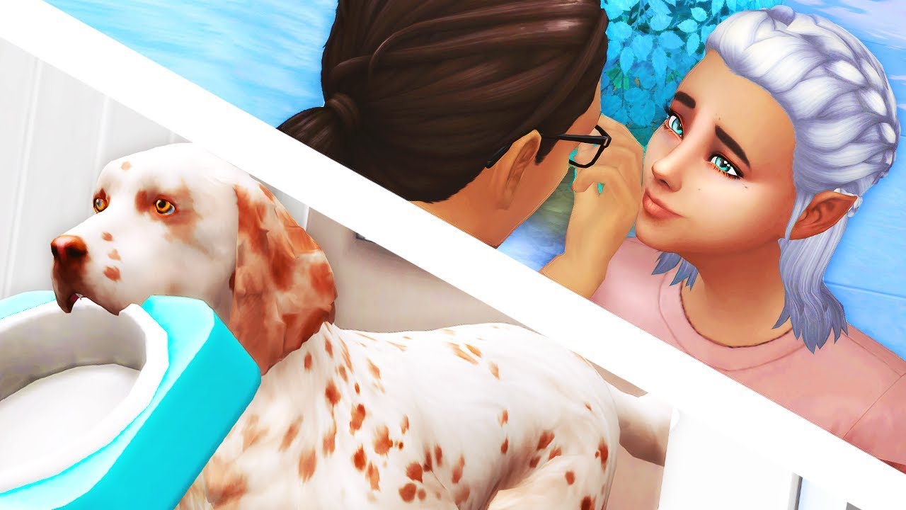 NEW FAMILY MEMBER // The Sims 4: Cats & Dogs #11
