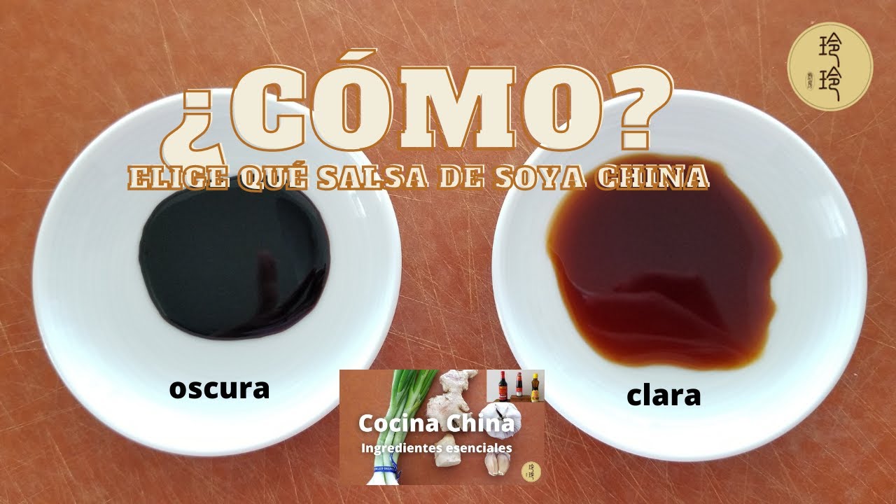 [SUB] &iquest;C&Oacute;MO? &iquest;C&oacute;mo elegir qu&eacute; salsa de soya china para cocinar comida china en casa?