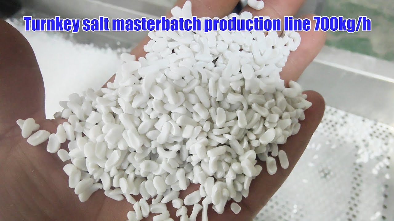 The turnkey project of salt masterbatch 700kg/h was successfully delivered to the customer's factory
