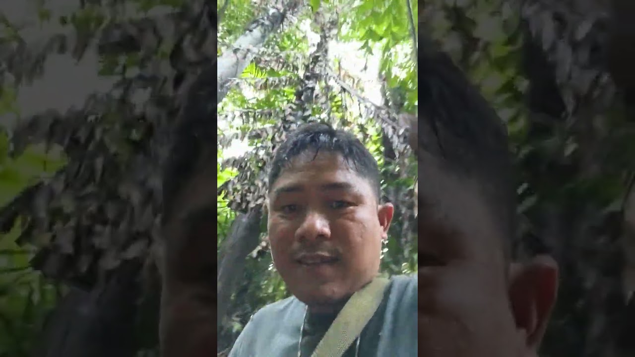 Laras npud pina slide nga ambak bah.. 