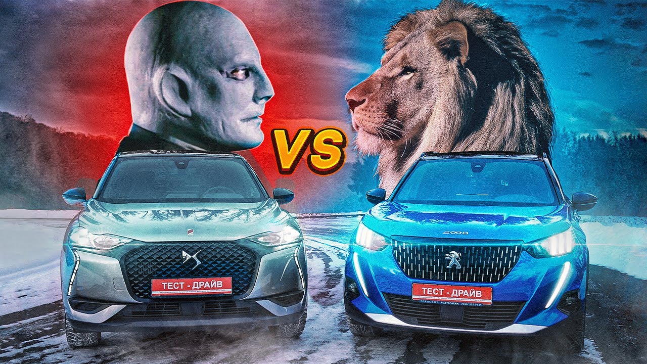 Львенок против Фантомаса. Peugeot 2008 VS DS3 Crossback 2020