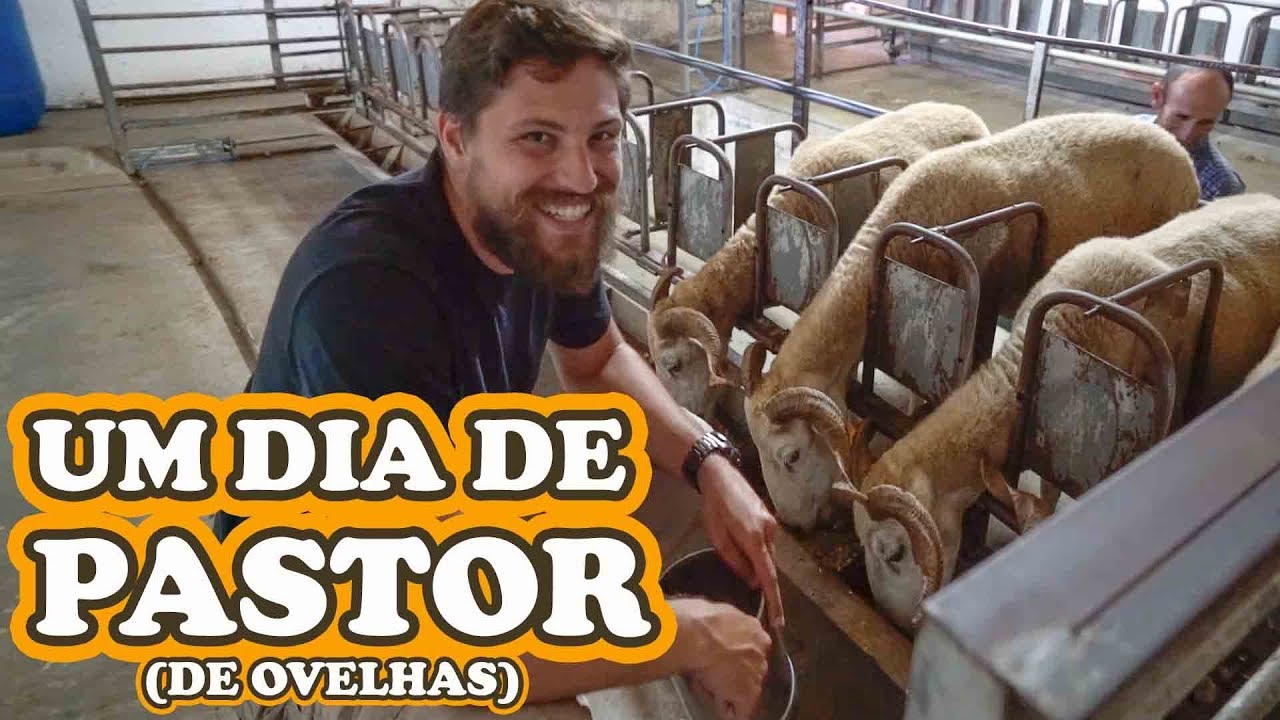 TIRAMOS LEITE DE OVELHA – BELMONTE | BELTOUR