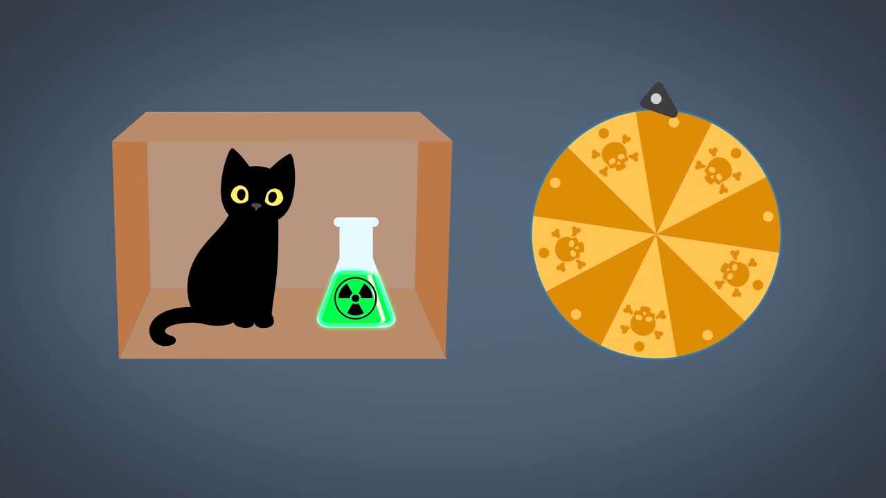 What is Schr&ouml;dinger&rsquo;s Cat?