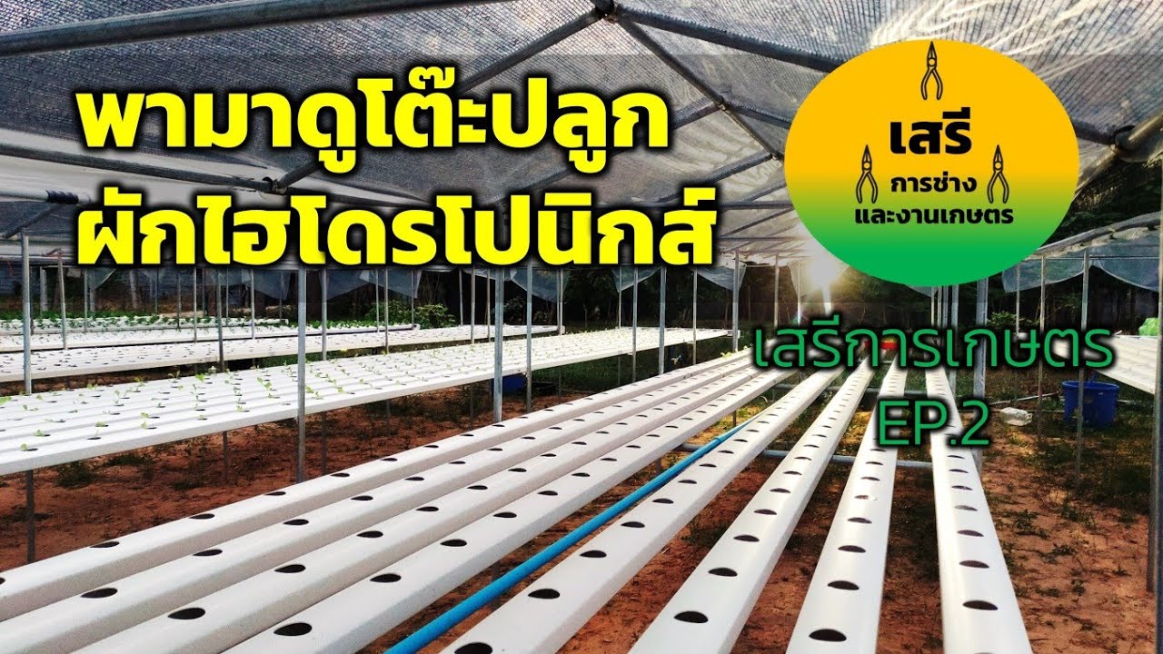 ส่วนประกอบของโต๊ะปลูกผักไฮโดรโปนิกส์ | เสรีการเกษตร EP.2