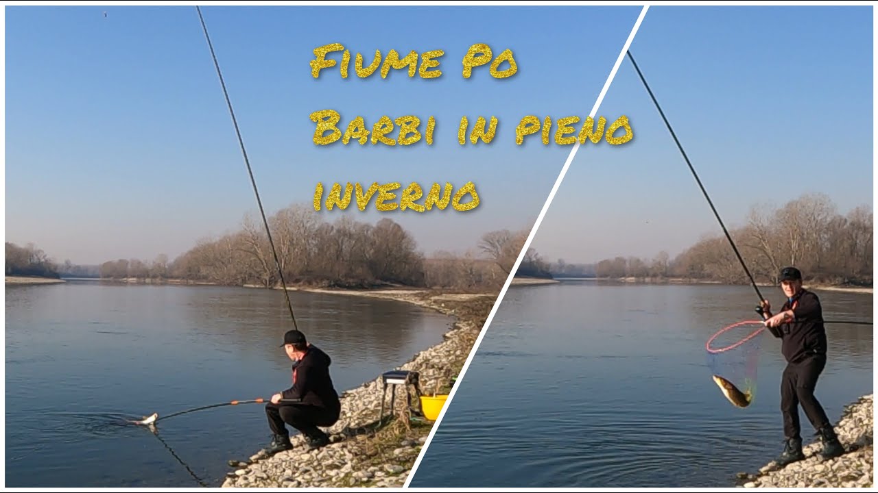 Inverno, barbi sul po con la bolognese