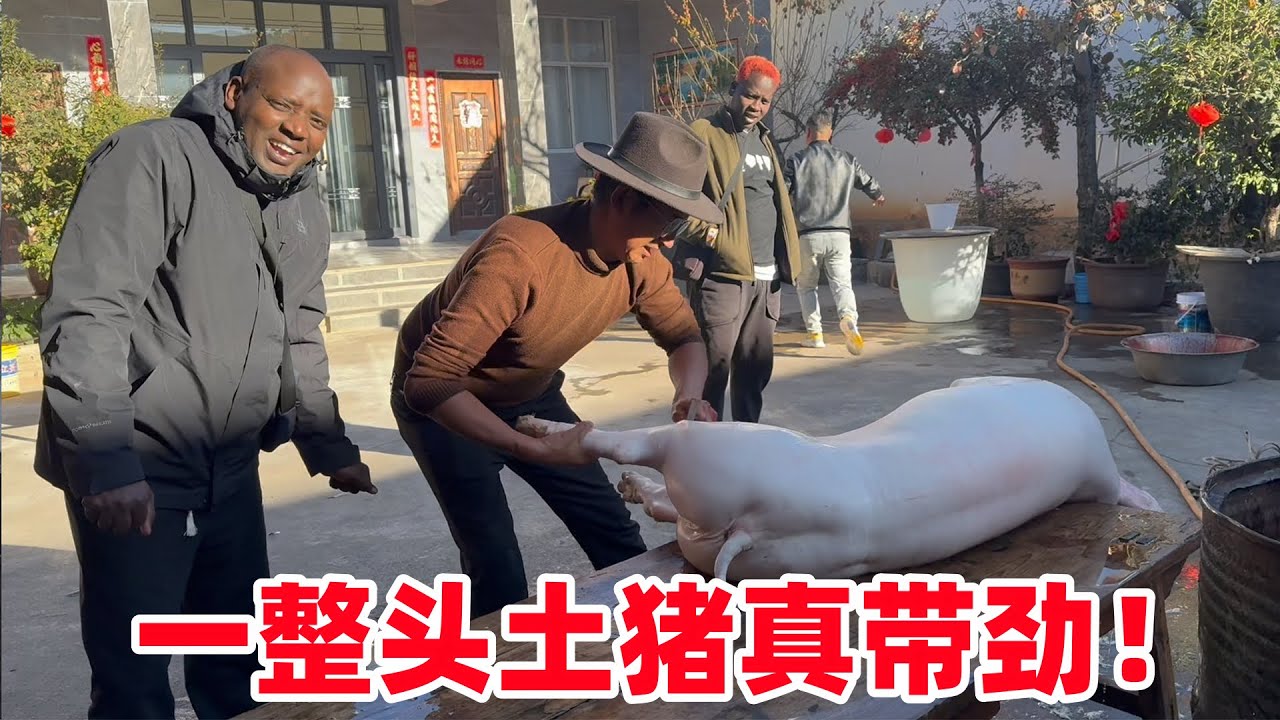 保镖彻底嗨了！中国人真热情，现场宰猪，喝酒吃肉，这场面太爽了