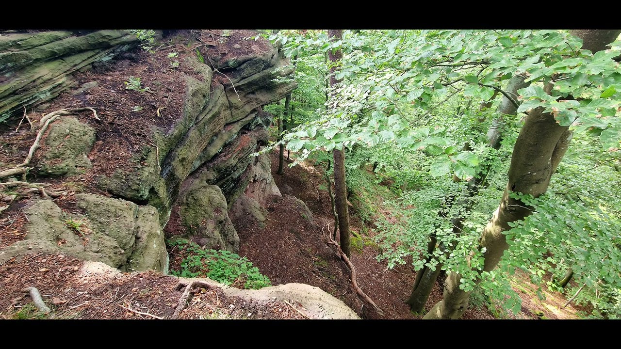 Wandern in der Pfalz 》Auf der Spur des Drachen bei Bad Dürkheim 《