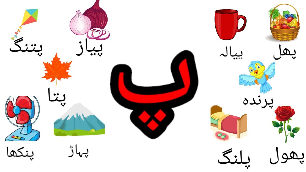 Pay Se Shuru Hone Wale Alfaaz|Urdu Words |pay Se  banne wale alfaaz#urdualphabet