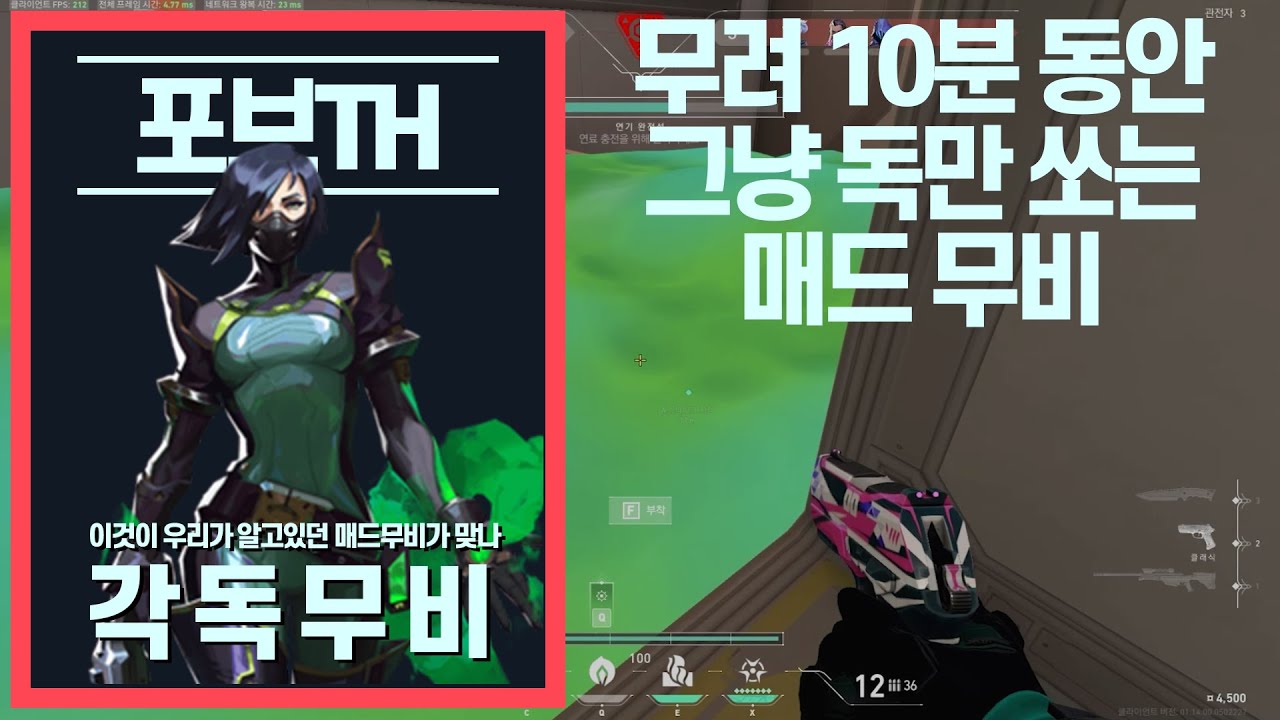 포브스가 선정한 세상에서 가장 지루한 발로란트 매드무비 3위 선정 - 바이퍼 각독 매드무비[재업]