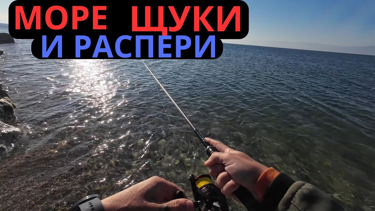 МОРЕ, ЩУКИ И РАСПЕРИ