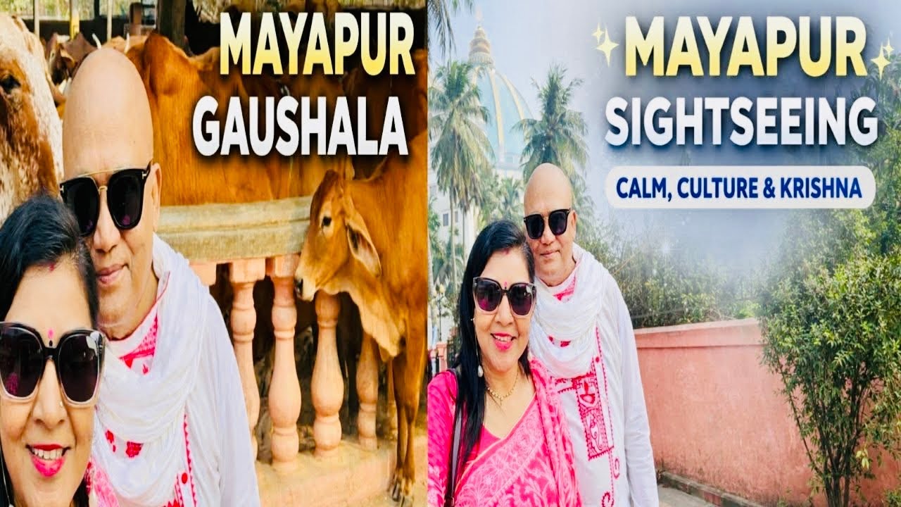 MAYAPUR VLOG DAY - 2 GAUSHALA VISIT | MAYAPUR SIGHTSEEING | MAYAPUR VOG PRASAD | @sensnest1131