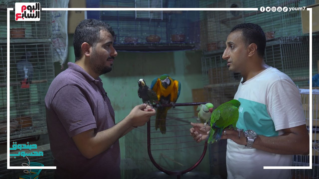 دخلنا عالم البغبغانات🦜بترد علي الموبايل وترقص وتغني زي البشر 😲 وبتشرب مية معدنية