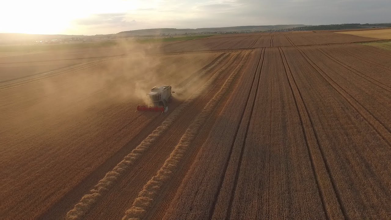 CLAAS Lexion 620 am Gerste ernten