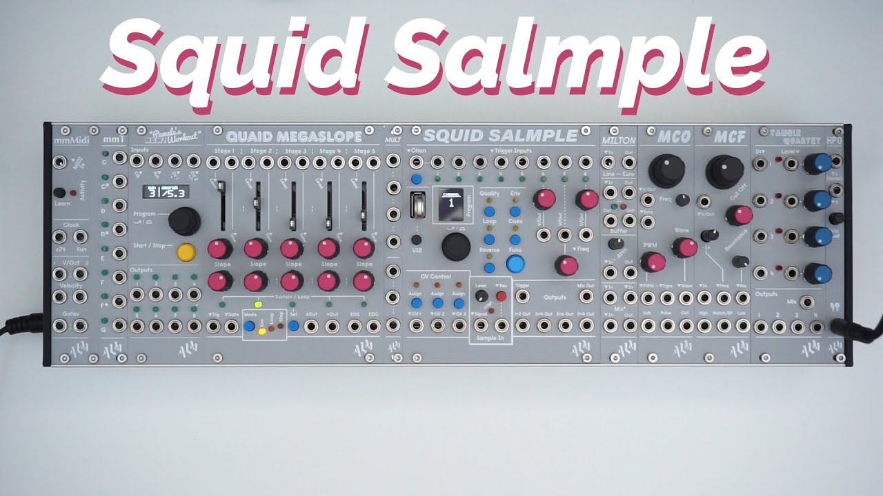 System Coupe Sampling: Squid Salmple