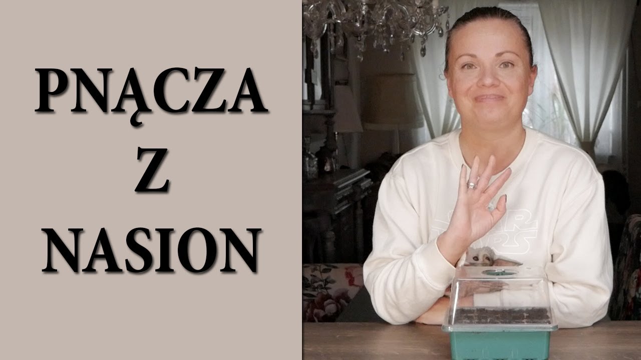 PNĄCZA jednoroczne / Jak siać Kobea Fasolnik egipski Tunbergia / Co siać w lutym / MrsGarden
