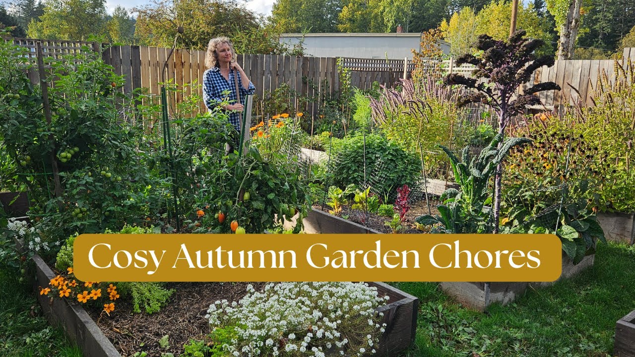 Cosy Autumn Garden Chores. Story 37