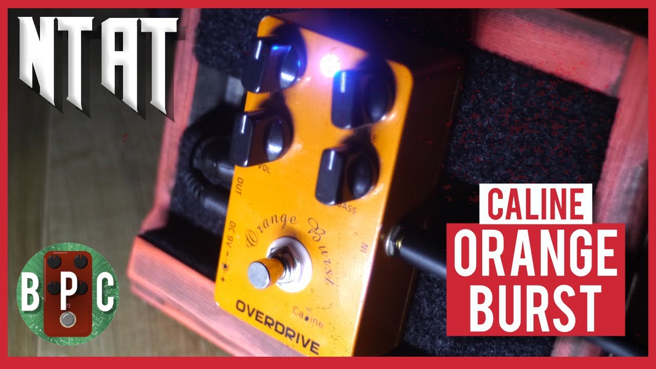 The Best Seller, but for good reason? - Caline Orange Burst - No Talk, All Tone