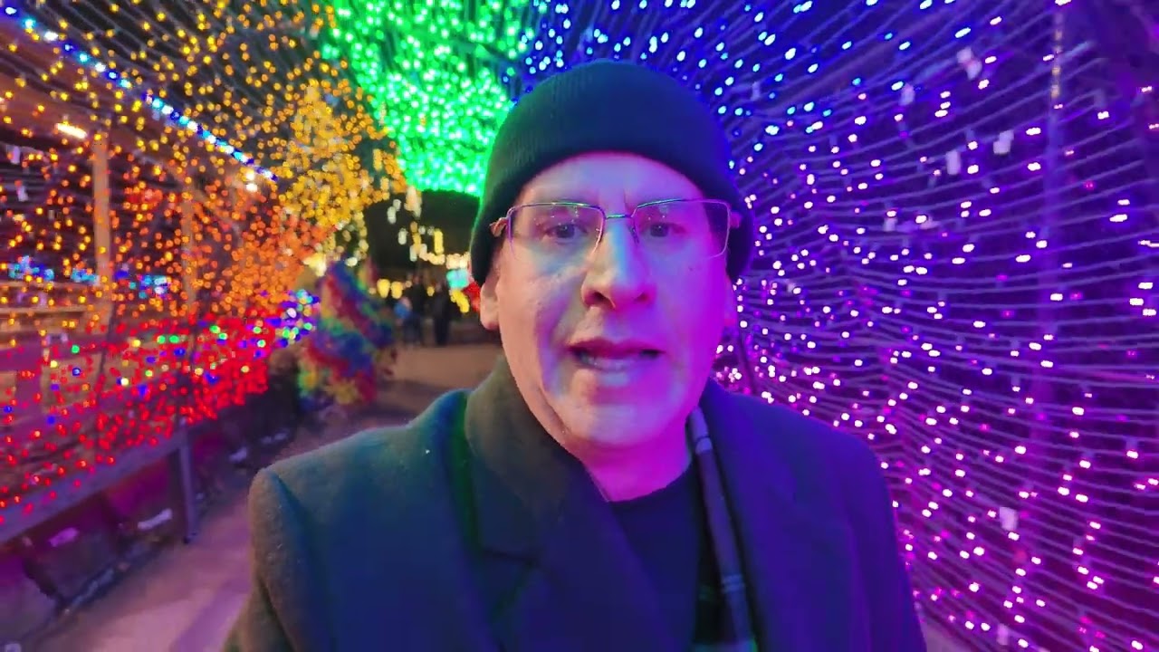 Wild Lights Elmwood Park Zoo! (2024)