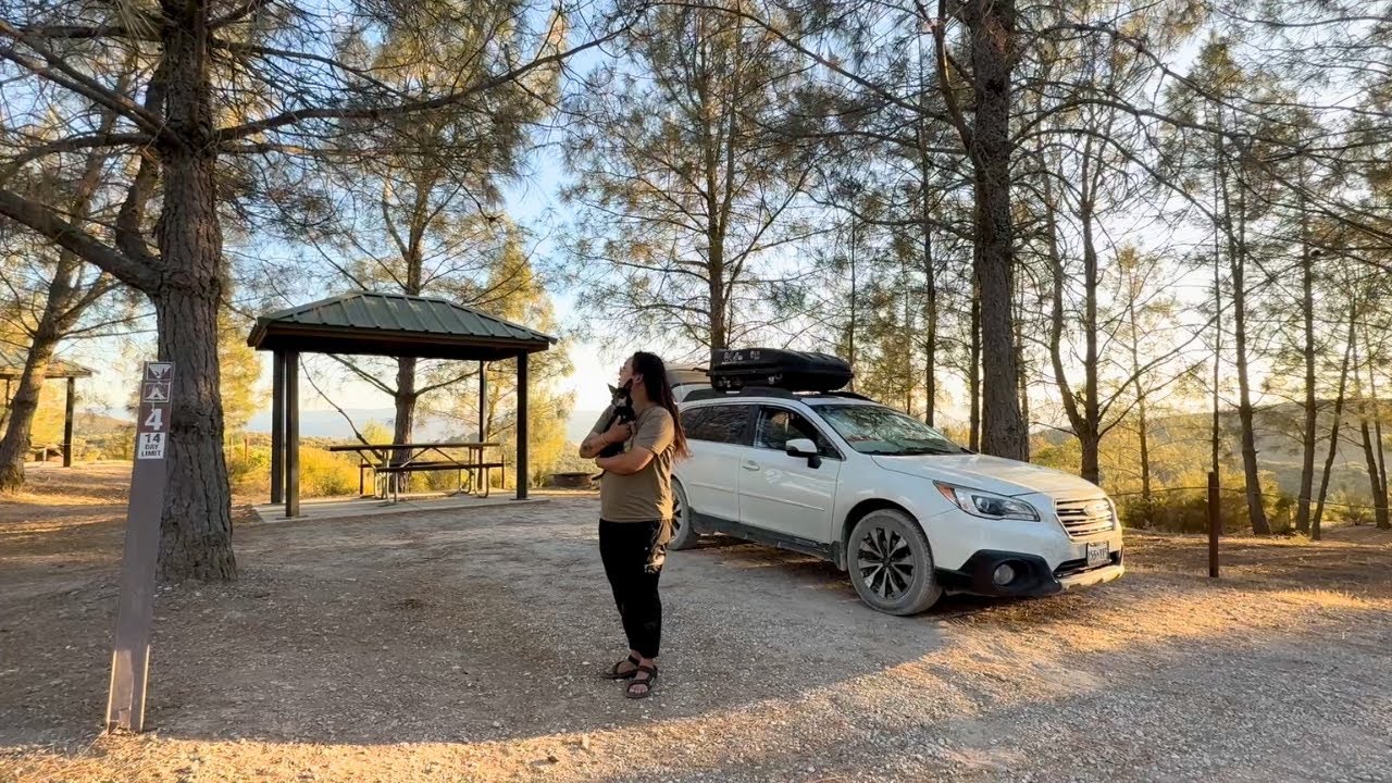 Solo in the Mountains | My Peaceful Car Camping Escape