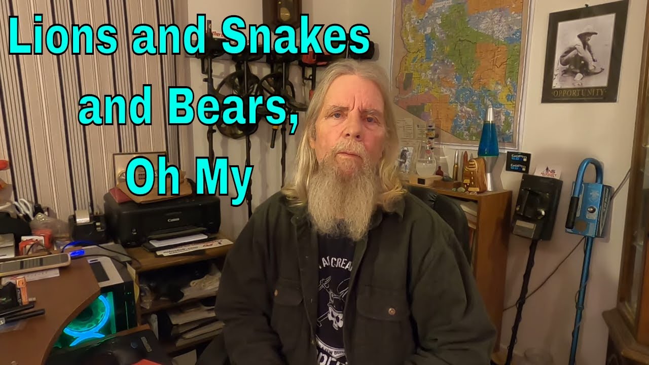 Chat, Gold Nuggets, Metal Detecting, Critters, and Such