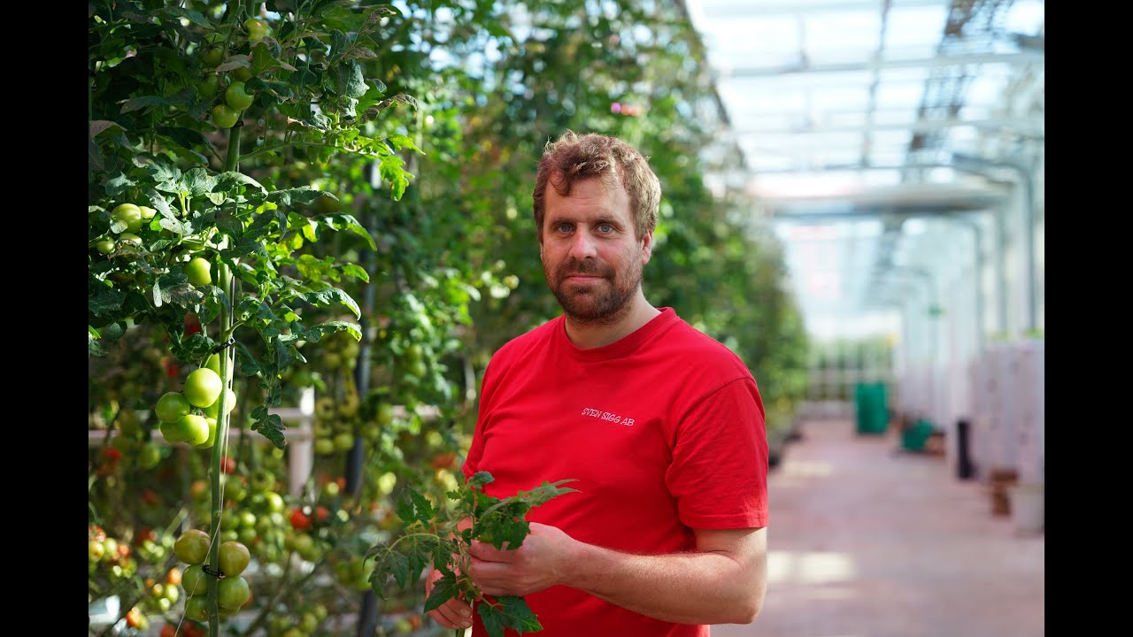 Reference interview about Flexi-Grow greenhouse toplights with Partik Sigg, Finnish tomato producer