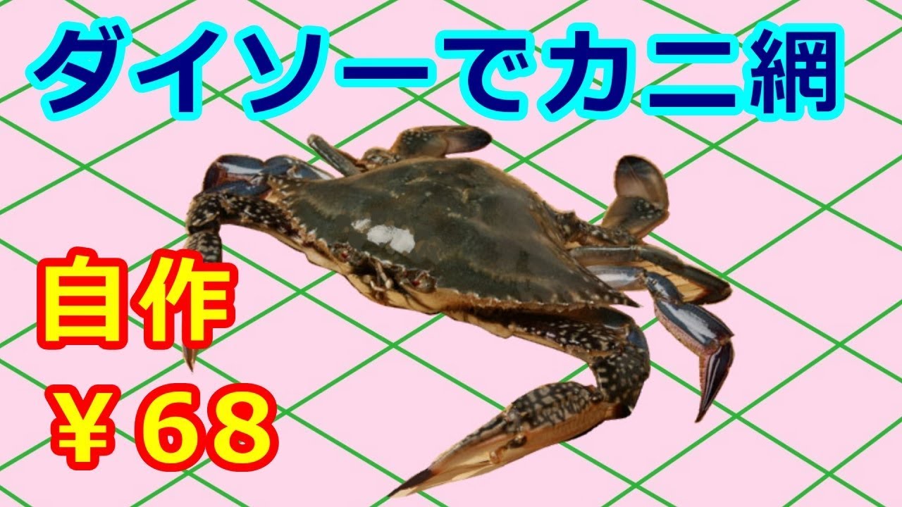 【釣り】 ダイソーネットでカニ網　【作ってみた】
