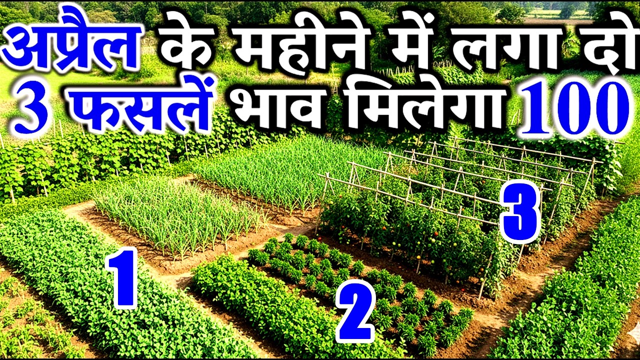 मार्च अप्रैल में लगाये ये 3 सब्जियां, कम लागत ज्यादा मुनाफा | March April Me Konsi Sabji Lagaye