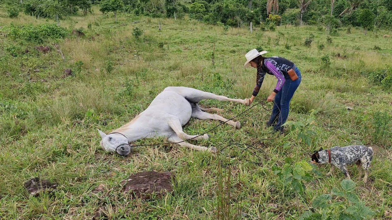 ME DEPAREI COM UMA CENA MUITO TRISTE🥹
