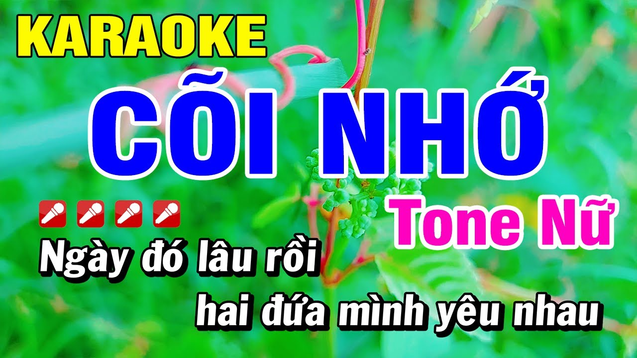 Karaoke C&otilde;i Nhớ Tone Nữ Nhạc Sống | Ho&agrave;i Phong Organ