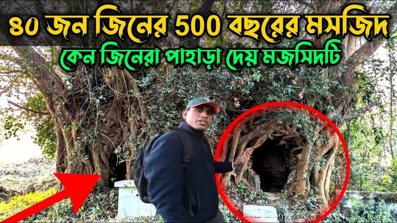 কেন জিনেরা পাহারা দেয় মজসিদটি || বট গাছের ভিতর রহস্যময় প্রাচীন মসজিদ ||Sindhurail Mosque কাহালু .