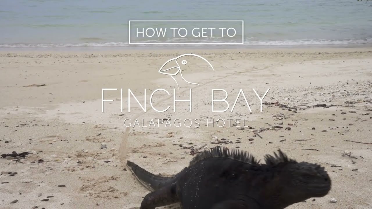 How to get to Finch Bay Hotel🌟