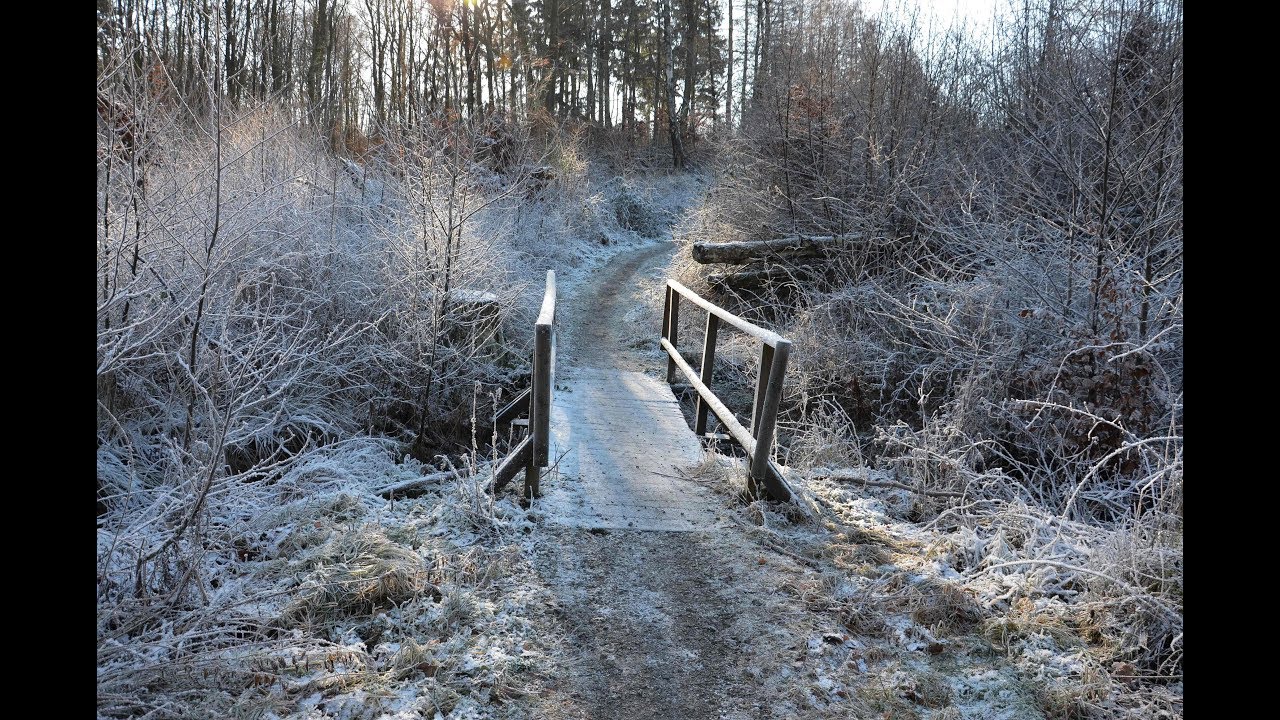 Wanderung im Arnsberger Wald - Ab Himmelpforten/Tour 2 - Jan. 2019