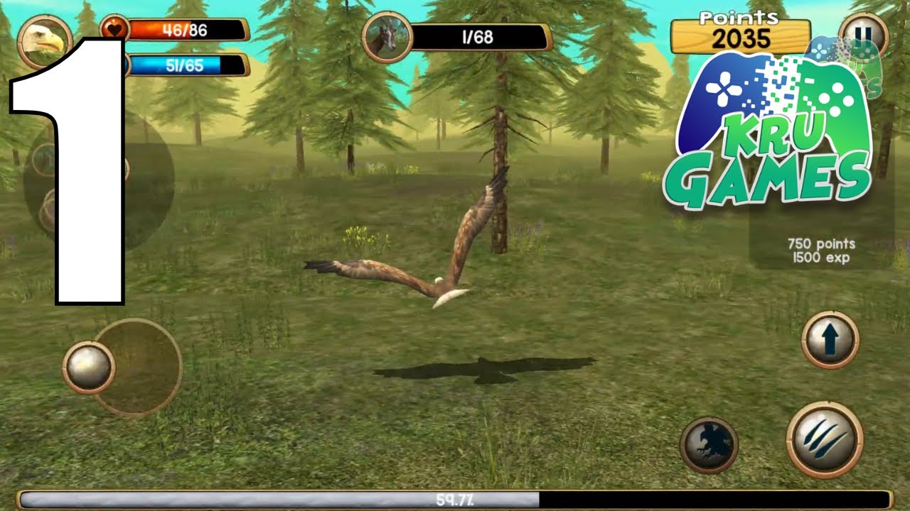 Wild Eagle Sim 3D Gameplay Walkthrough #1 (Android, IOS)