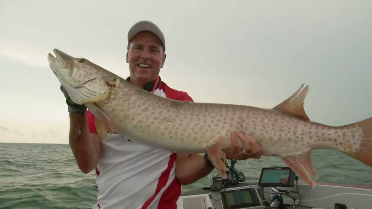 A Musky Dozen