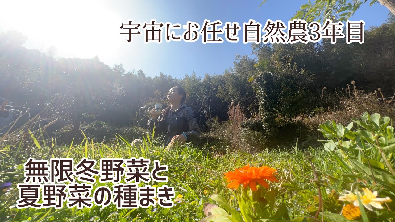夏野菜の種まき/全存在との対話でみんなのお陰様の畑