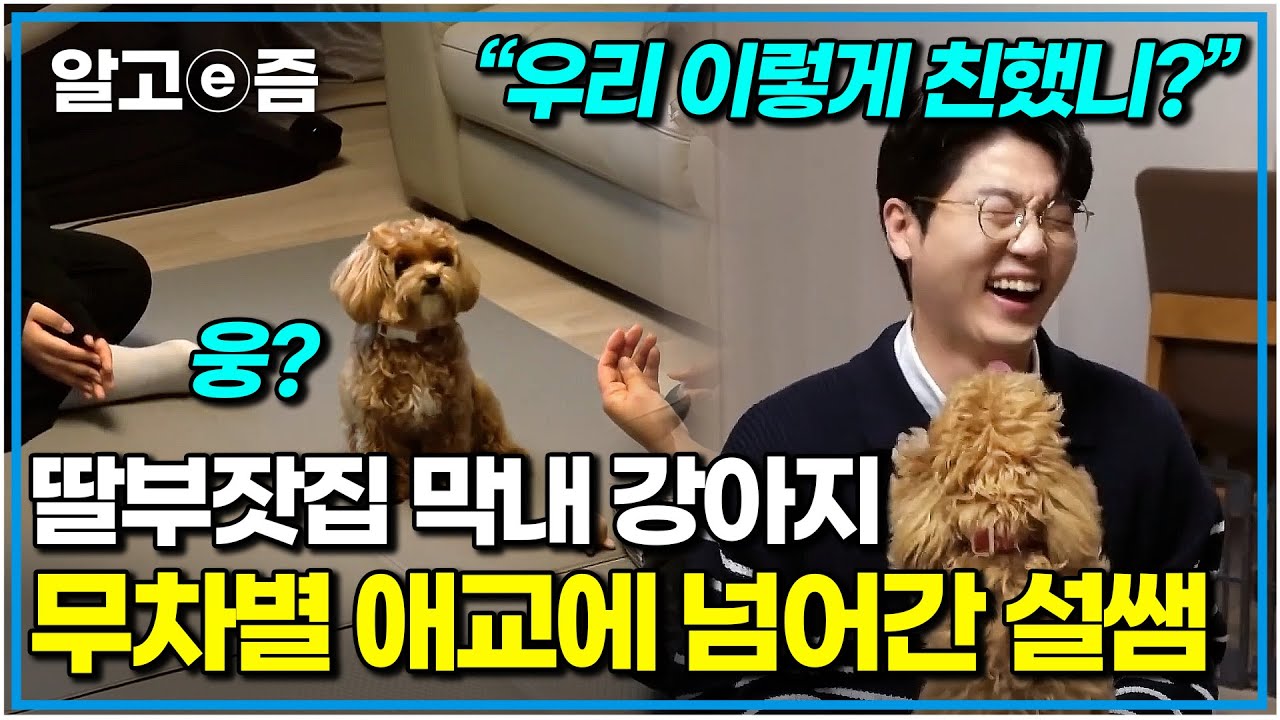 어떻게 이름도 빵식이🍞 식빵같은 인형같은 말티푸! 어릴 적 기억에 문제가 있다고?｜세상에 나쁜 개는 없다｜알고e즘